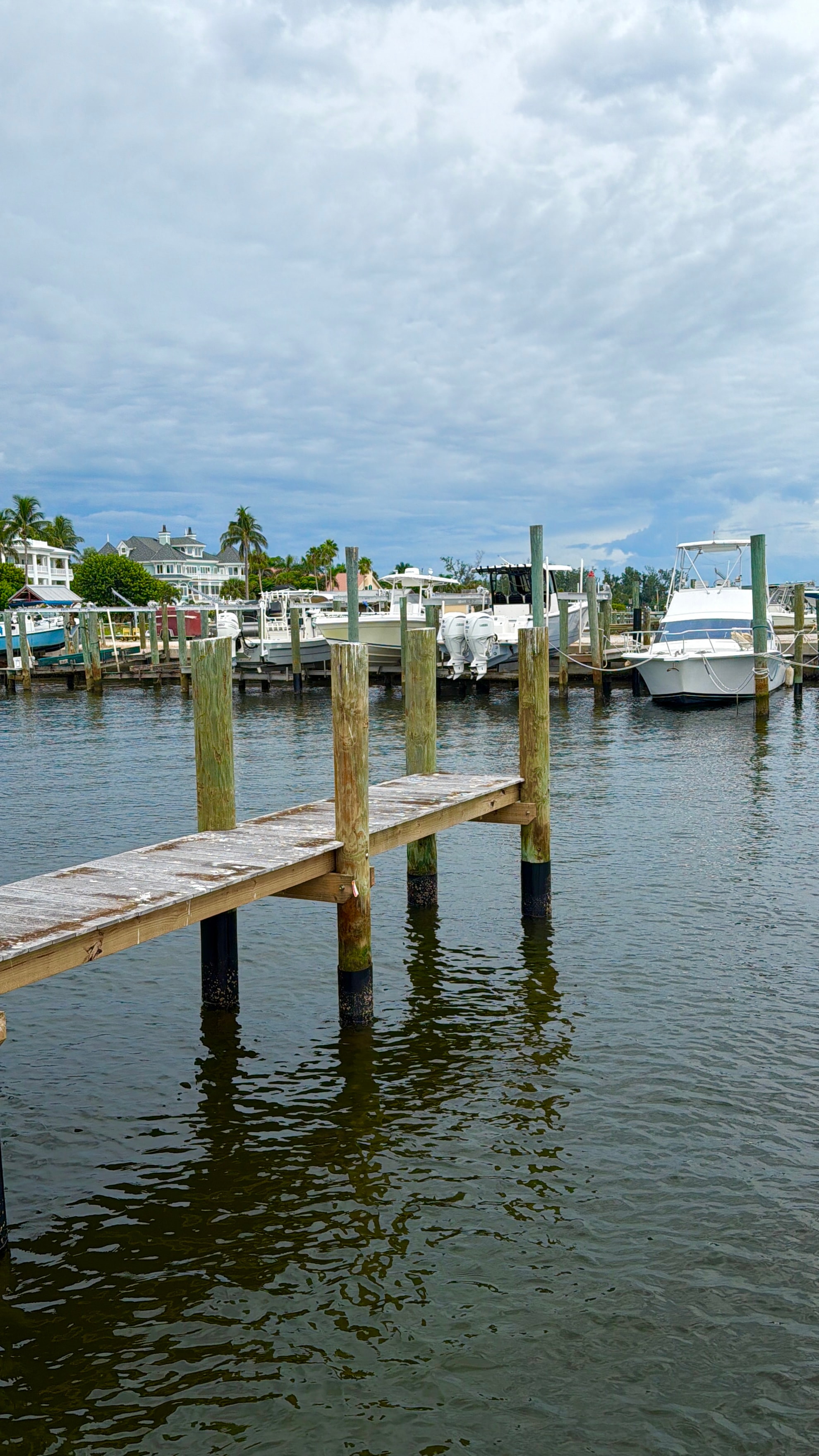 Marina dock pilings with boats and palm trees, Bradenton FL